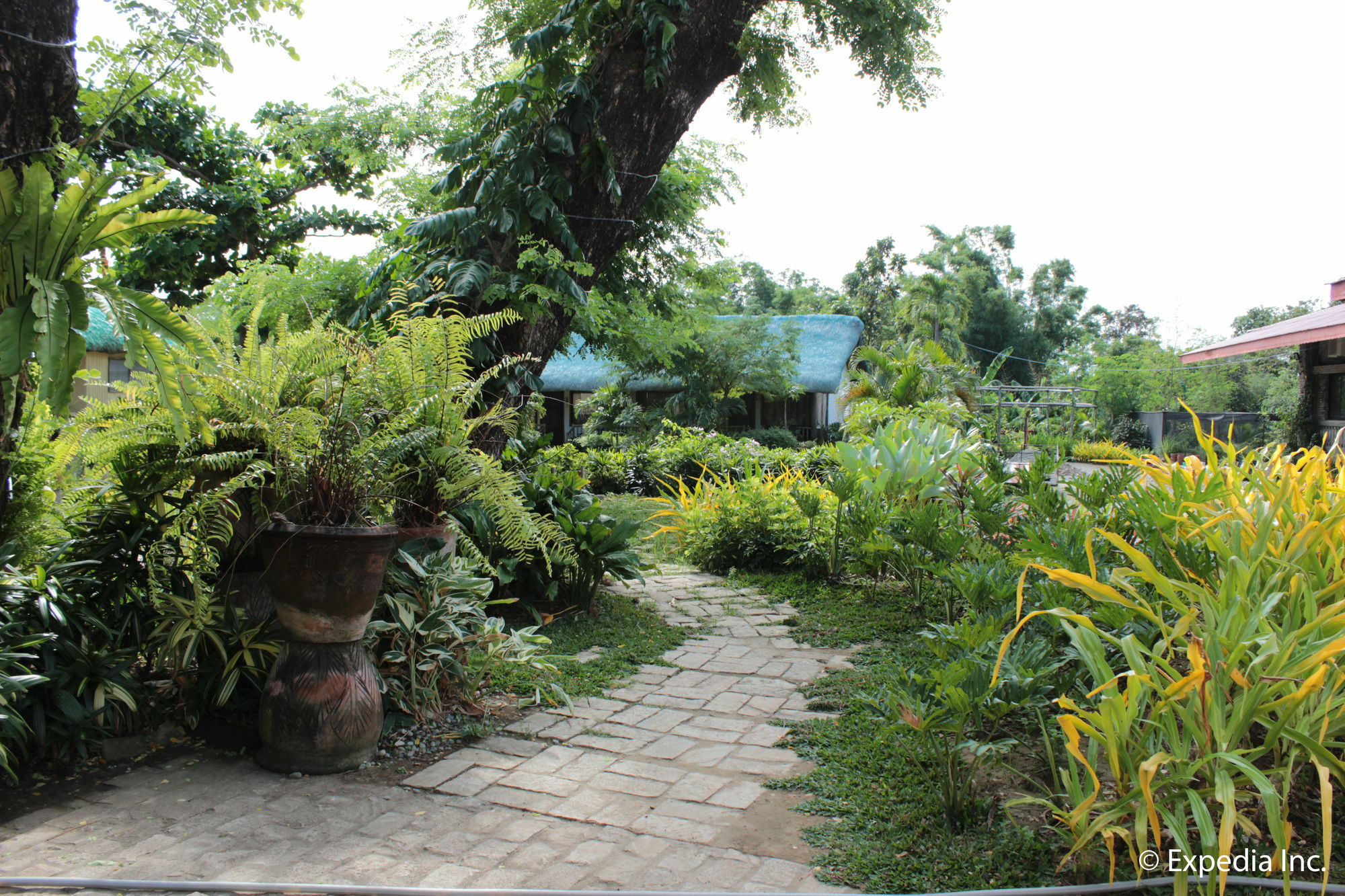 Reddoorz Plus Near Vigan Convention Center Ngoại thất bức ảnh