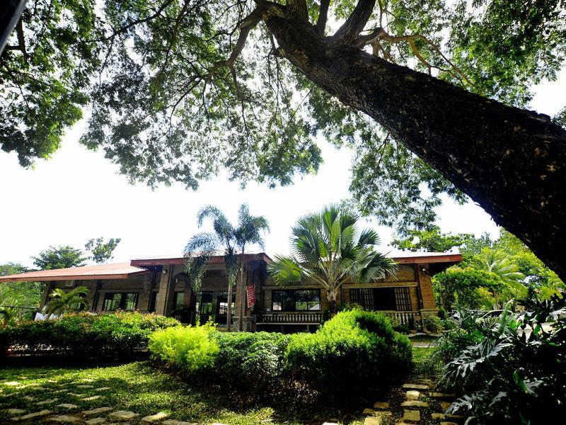 Reddoorz Plus Near Vigan Convention Center Ngoại thất bức ảnh