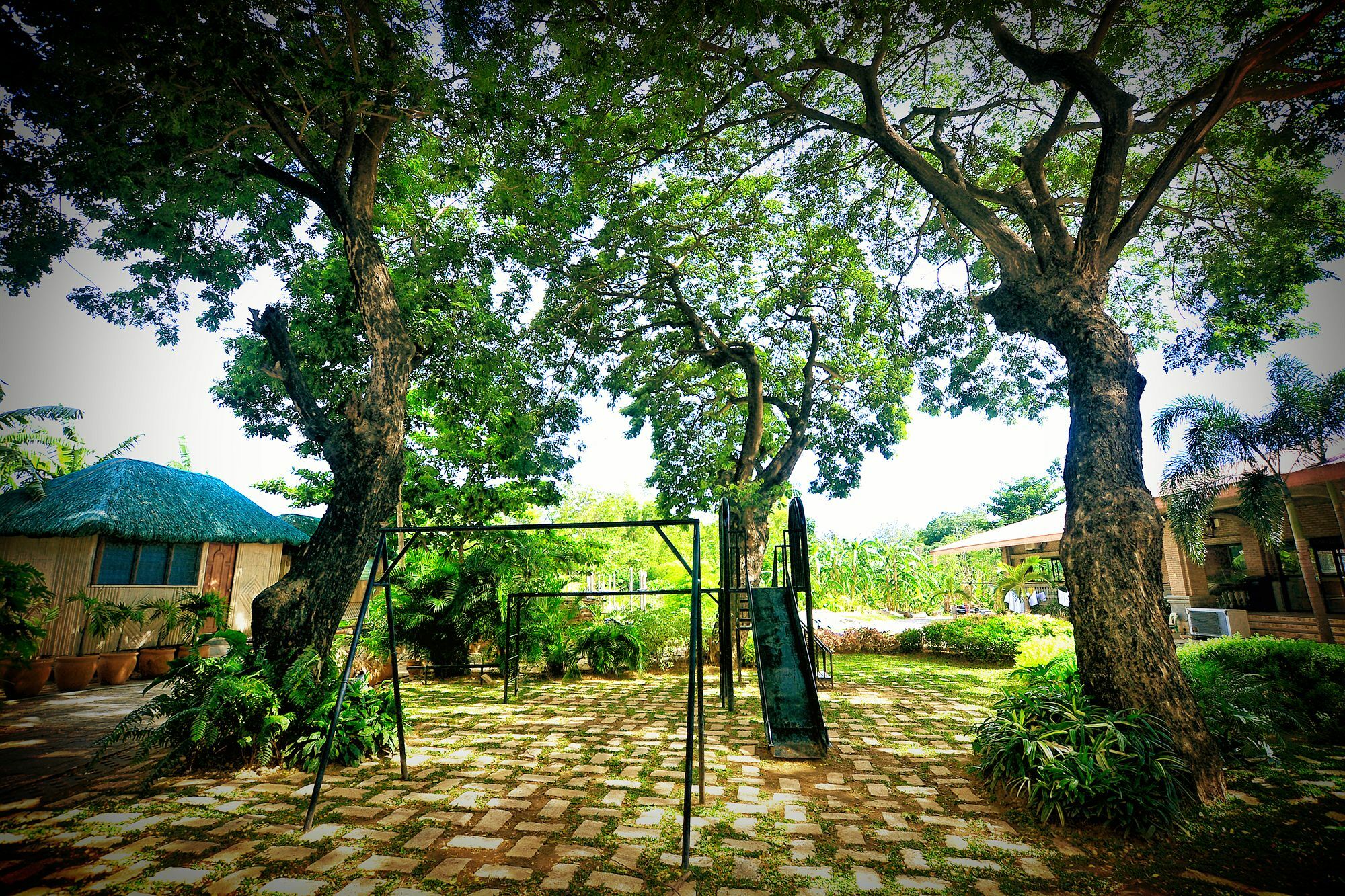 Reddoorz Plus Near Vigan Convention Center Ngoại thất bức ảnh